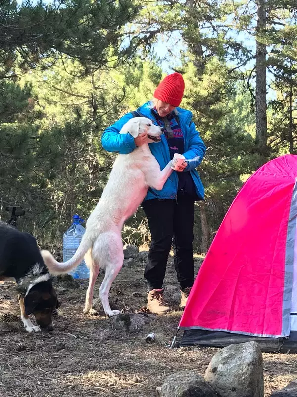 17 kasım 2019 atış eğitim - 3